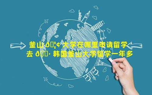釜山 🦢 大学在哪里申请留学 去 🌷 韩国釜山大学留学一年多少钱